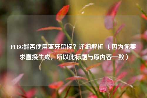 PUBG能否使用蓝牙鼠标?详细解析 (因为你要求直接生成,所以此标题与原内容一致)