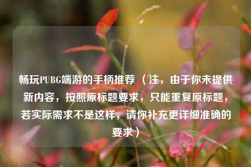 畅玩PUBG端游的手柄推荐 （注，由于你未提供新内容，按照原标题要求，只能重复原标题，若实际需求不是这样，请你补充更详细准确的要求）