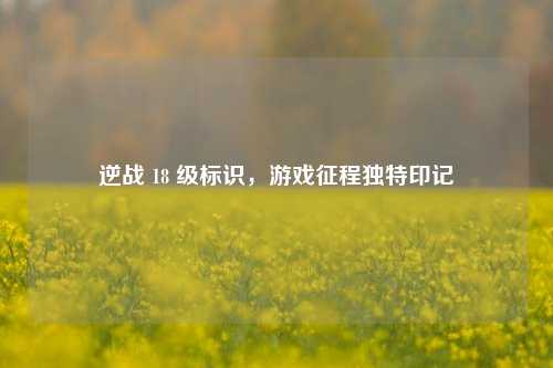 逆战 18 级标识,游戏征程独特印记