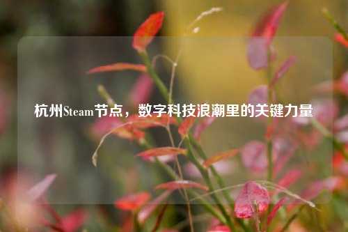 杭州Steam节点，数字科技浪潮里的关键力量