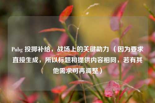 Pubg 投掷补给,战场上的关键助力 (因为要求直接生成,所以标题和提供内容相同,若有其他需求可再调整)