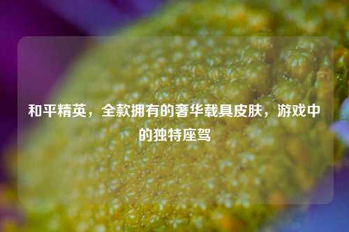 和平精英，全款拥有的奢华载具皮肤，游戏中的独特座驾