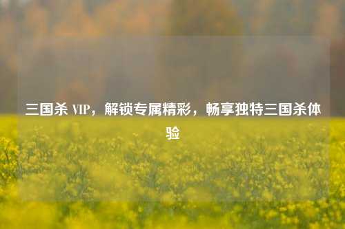 三国杀 VIP,解锁专属精彩,畅享独特三国杀体验