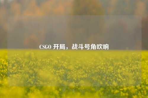 CSGO 开局，战斗号角吹响
