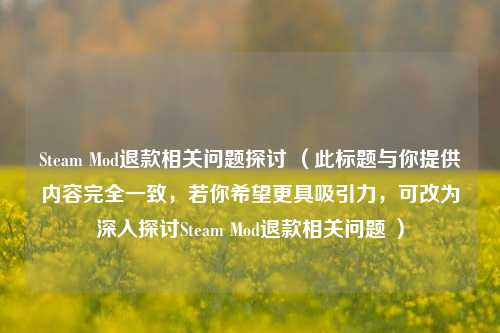 Steam Mod退款相关问题探讨 (此标题与你提供内容完全一致,若你希望更具吸引力,可改为深入探讨Steam Mod退款相关问题 )