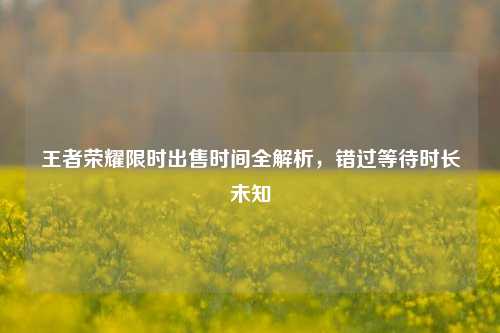 王者荣耀限时出售时间全解析,错过等待时长未知