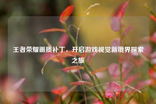 王者荣耀画质补丁,开启游戏视觉新境界探索之旅