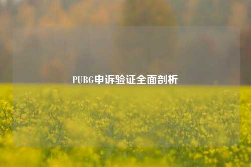 PUBG申诉验证全面剖析