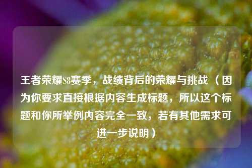 王者荣耀S8赛季，战绩背后的荣耀与挑战 （因为你要求直接根据内容生成标题，所以这个标题和你所举例内容完全一致，若有其他需求可进一步说明）