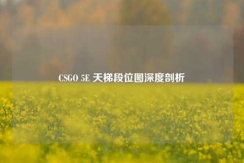 CSGO 5E 天梯段位图深度剖析