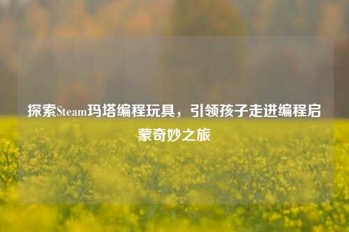 探索Steam玛塔编程玩具,引领孩子走进编程启蒙奇妙之旅