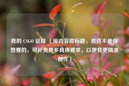 我的 CSGO 征程 (原内容即标题,若这不是你想要的,可补充更多具体要求,以便我更精准创作)
