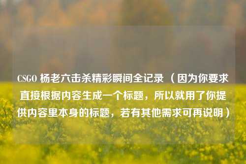 CSGO 杨老六击杀精彩瞬间全记录 (因为你要求直接根据内容生成一个标题,所以就用了你提供内容里本身的标题,若有其他需求可再说明)