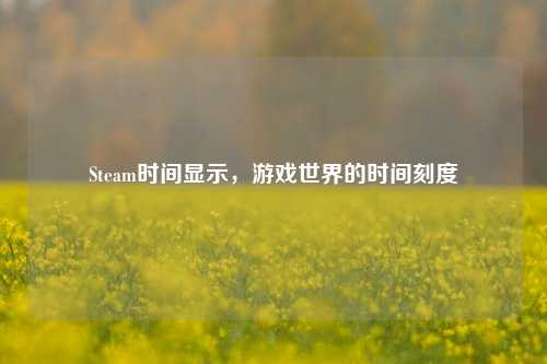 Steam时间显示,游戏世界的时间刻度