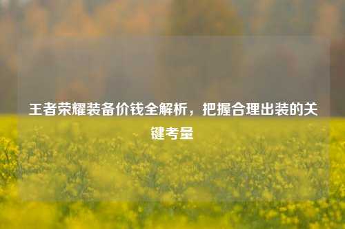 王者荣耀装备价钱全解析,把握合理出装的关键考量