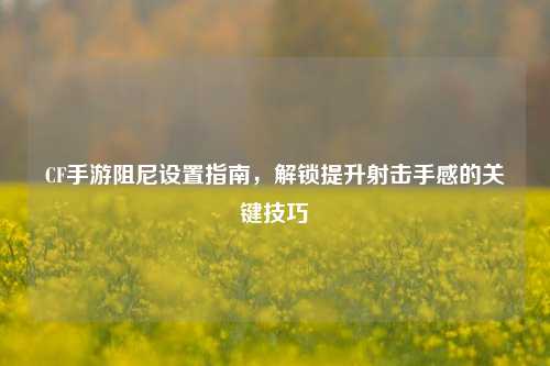 CF手游阻尼设置指南，解锁提升射击手感的关键技巧