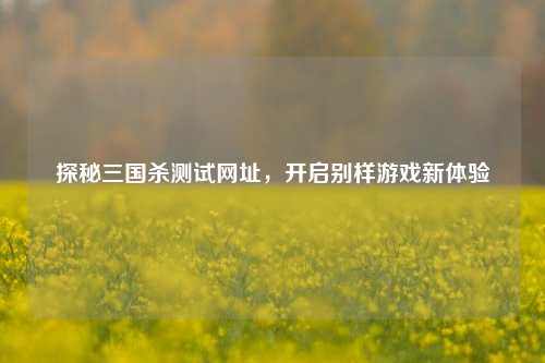 探秘三国杀测试网址，开启别样游戏新体验