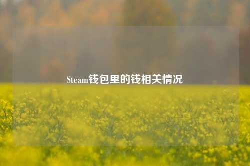 Steam钱包里的钱相关情况