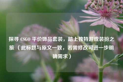 探寻 CSGO 平价饰品套装,踏上独特游戏装扮之旅 (此标题与原文一致,若需修改可进一步明确需求)
