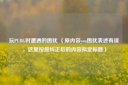 玩PUBG时遭遇的困扰 (原内容you困扰表述有误,这里按照纠正后的内容拟定标题)