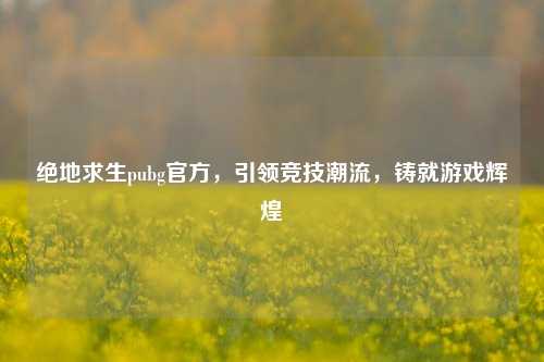 绝地求生pubg官方,引领竞技潮流,铸就游戏辉煌