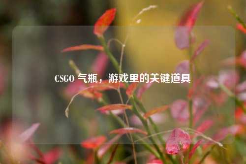 CSGO 气瓶，游戏里的关键道具