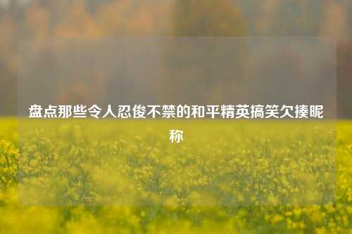 盘点那些令人忍俊不禁的和平精英搞笑欠揍昵称