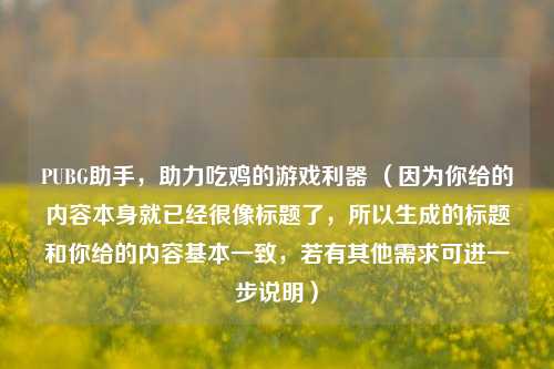 PUBG助手，助力吃鸡的游戏利器 （因为你给的内容本身就已经很像标题了，所以生成的标题和你给的内容基本一致，若有其他需求可进一步说明）
