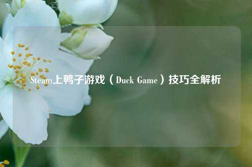 Steam上鸭子游戏(Duck Game)技巧全解析