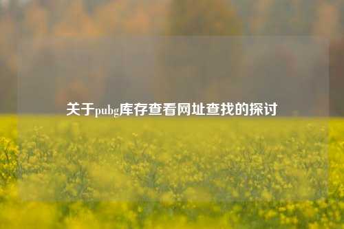 关于pubg库存查看网址查找的探讨