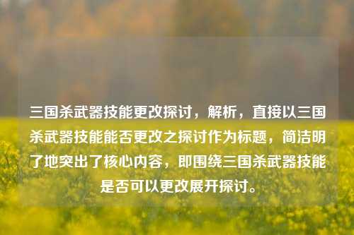 三国杀武器技能更改探讨，解析，直接以三国杀武器技能能否更改之探讨作为标题，简洁明了地突出了核心内容，即围绕三国杀武器技能是否可以更改展开探讨。