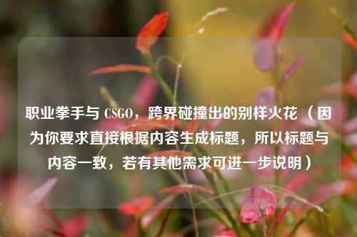 职业拳手与 CSGO，跨界碰撞出的别样火花 （因为你要求直接根据内容生成标题，所以标题与内容一致，若有其他需求可进一步说明）