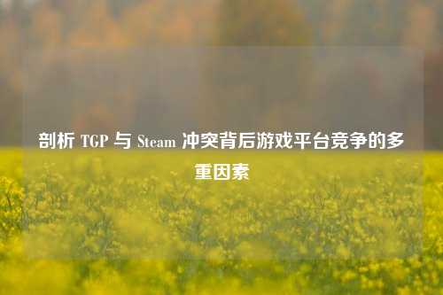剖析 TGP 与 Steam 冲突背后游戏平台竞争的多重因素