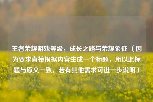 王者荣耀游戏等级，成长之路与荣耀象征 （因为要求直接根据内容生成一个标题，所以此标题与原文一致，若有其他需求可进一步说明）