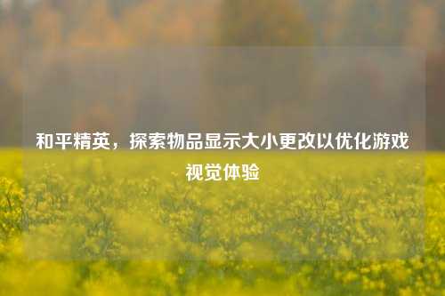 和平精英，探索物品显示大小更改以优化游戏视觉体验