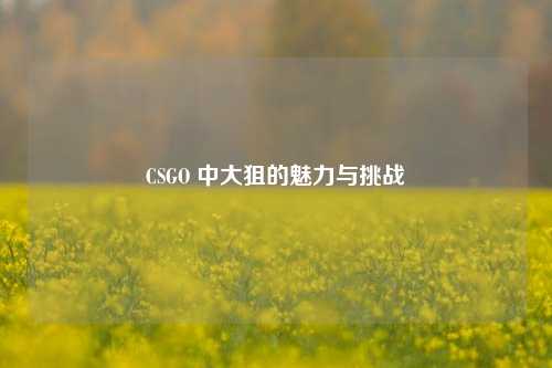 CSGO 中大狙的魅力与挑战
