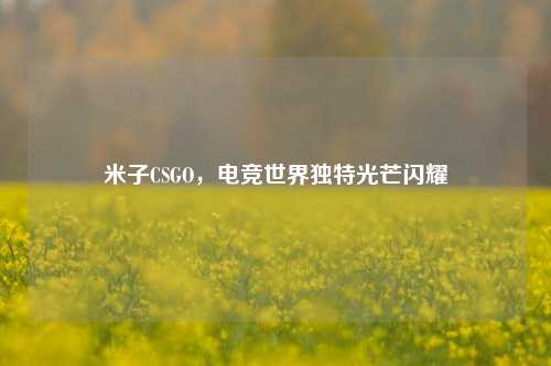 米子CSGO，电竞世界独特光芒闪耀