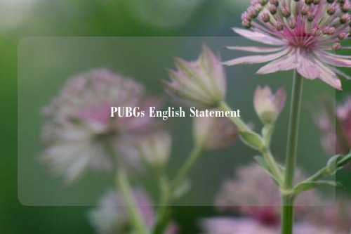 PUBGs English Statement