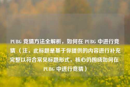 PUBG 竞猜方法全解析，如何在 PUBG 中进行竞猜 （注，此标题是基于你提供的内容进行补充完整以符合常见标题形式，核心仍围绕如何在 PUBG 中进行竞猜）