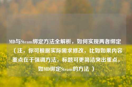 MD与Steam绑定方法全解析，如何实现两者绑定 （注，你可根据实际需求修改，比如如果内容重点在于强调方法，标题可更简洁突出重点，如MD绑定Steam的方法 ）