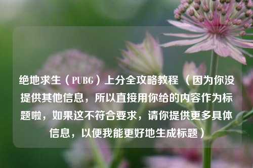 绝地求生（PUBG）上分全攻略教程 （因为你没提供其他信息，所以直接用你给的内容作为标题啦，如果这不符合要求，请你提供更多具体信息，以便我能更好地生成标题）