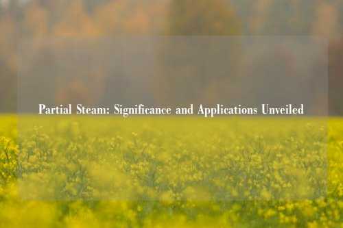 Partial Steam: Significance and Applications Unveiled