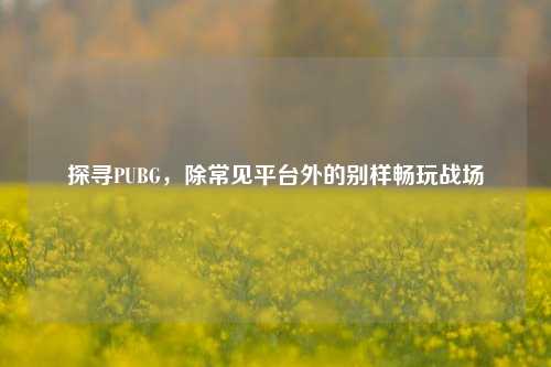 探寻PUBG,除常见平台外的别样畅玩战场