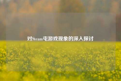 对Steam屯游戏现象的深入探讨