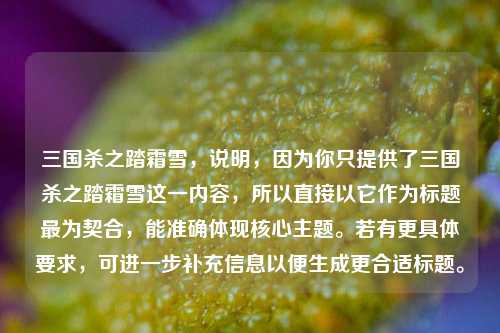 三国杀之踏霜雪，说明，因为你只提供了三国杀之踏霜雪这一内容，所以直接以它作为标题最为契合，能准确体现核心主题。若有更具体要求，可进一步补充信息以便生成更合适标题。