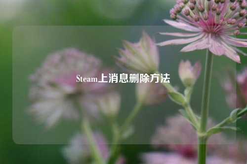 Steam上消息删除方法