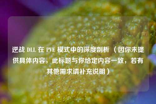 逆战 DLL 在 PVE 模式中的深度剖析 (因你未提供具体内容,此标题与你给定内容一致,若有其他需求请补充说明)