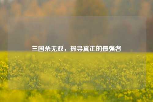三国杀无双,探寻真正的最强者