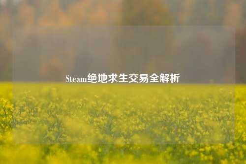 Steam绝地求生交易全解析