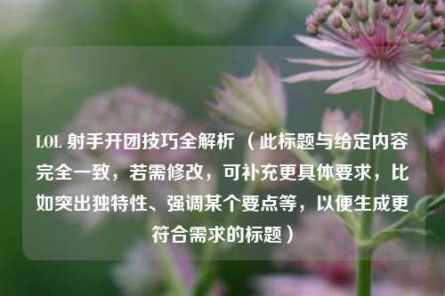 LOL 射手开团技巧全解析 （此标题与给定内容完全一致，若需修改，可补充更具体要求，比如突出独特性、强调某个要点等，以便生成更符合需求的标题）